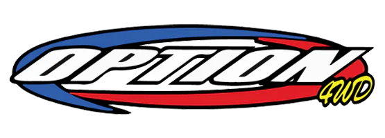 option logo